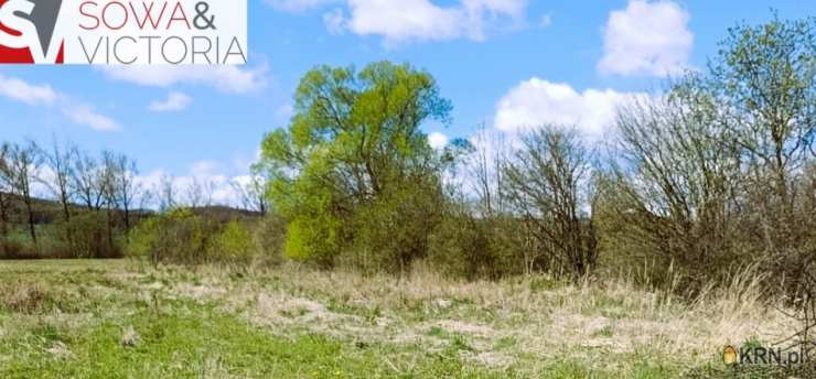 Czarny Bór, ul. , Działki  na sprzedaż, 