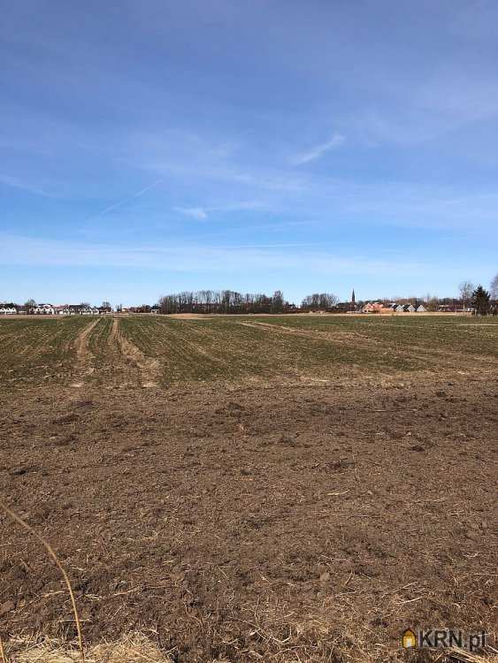 Działki  na sprzedaż, Sarbinowo, ul. , 