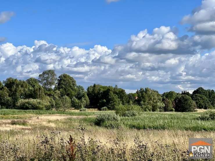 Działki  na sprzedaż, Borzyszewo, ul. , 