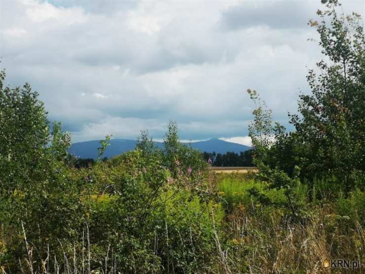 Działki  na sprzedaż, Kromnów, ul. , 