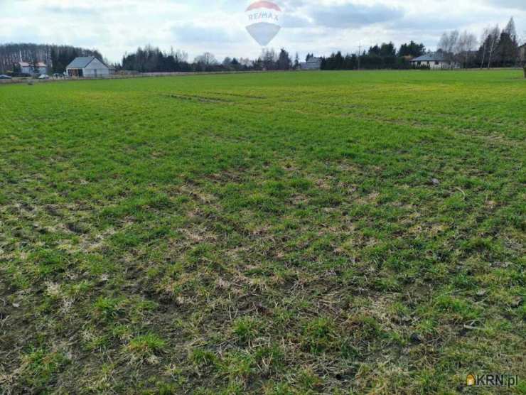 Działki  na sprzedaż, Miszewko Strzałkowskie, ul. , 