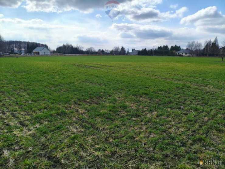 Działki  na sprzedaż, , Miszewko Strzałkowskie, ul. 