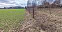 Działki na sprzedaż, Miszewko Strzałkowskie