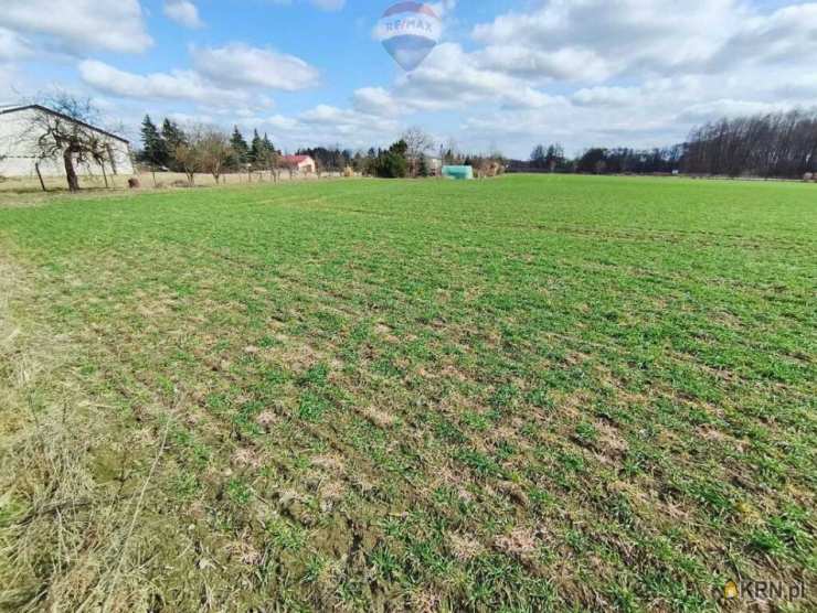 , Działki  na sprzedaż, Miszewko Strzałkowskie, ul. 