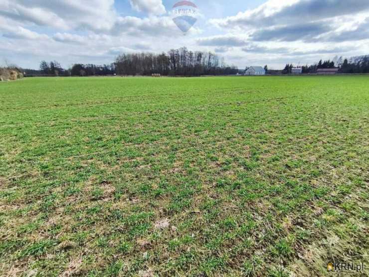 RE/MAX Polska, Działki  na sprzedaż, Miszewko Strzałkowskie, ul. 