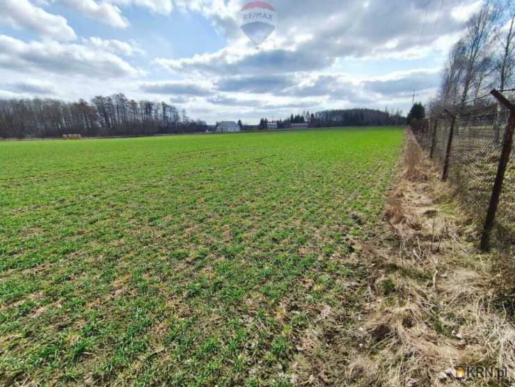 Działki  na sprzedaż, Miszewko Strzałkowskie, ul. , 