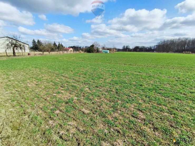 Miszewko Strzałkowskie, ul. , Działki  na sprzedaż, 