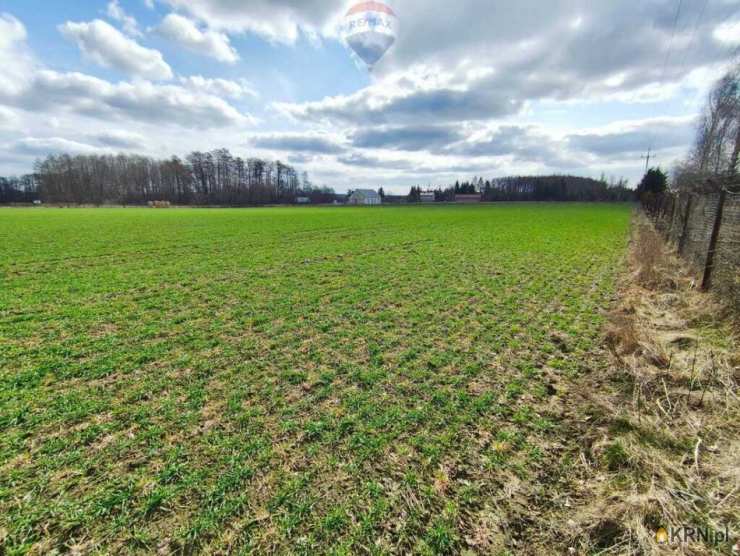 Miszewko Strzałkowskie, ul. , , Działki  na sprzedaż