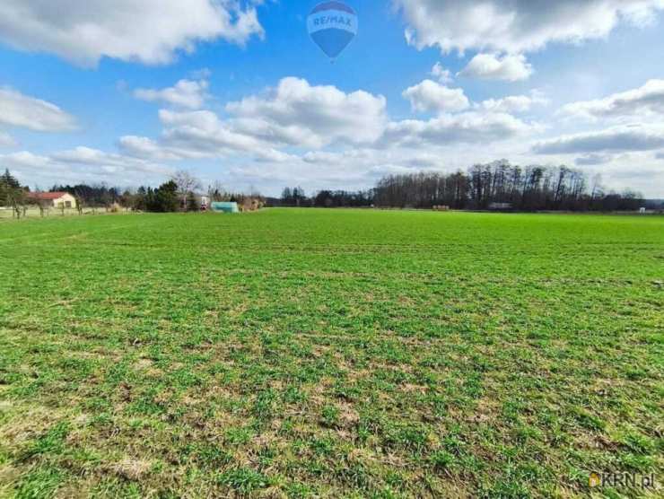 , Miszewko Strzałkowskie, ul. , Działki  na sprzedaż