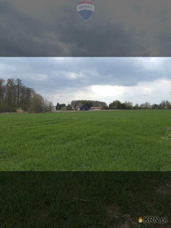 Miszewko Strzałkowskie, ul. , Działki  na sprzedaż, 