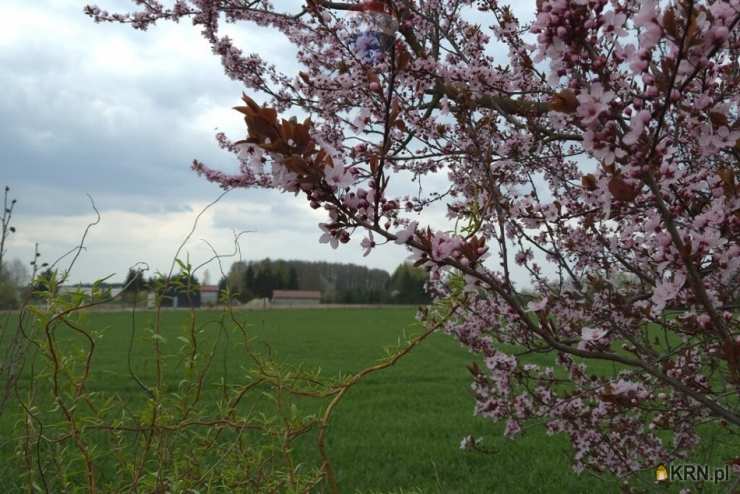 , Miszewko Strzałkowskie, ul. , Działki  na sprzedaż
