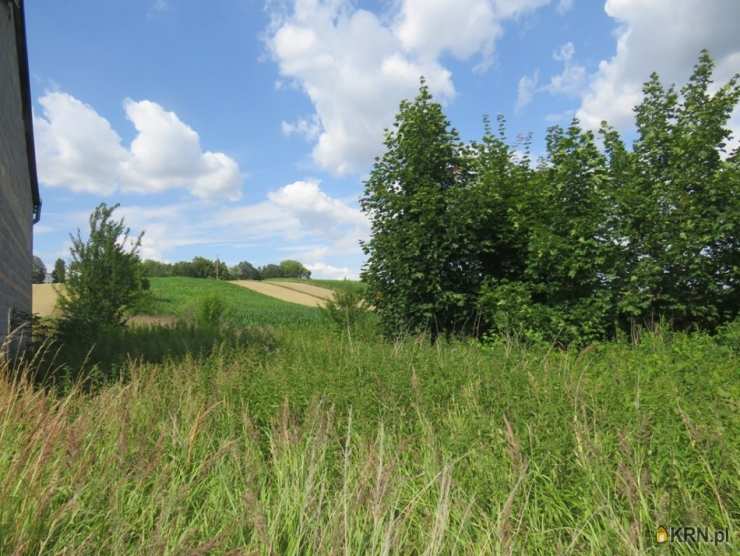 Działki  na sprzedaż, Proszowice, ul. , 