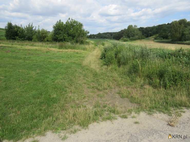 Działki  na sprzedaż, , Proszowice, ul. 