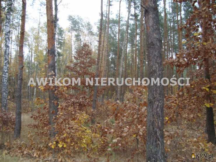 Działki  na sprzedaż, Ojrzanów, ul. , 