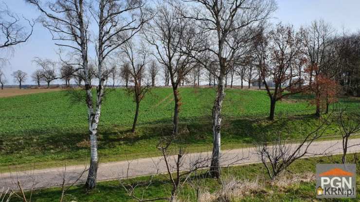 Działki  na sprzedaż, Trzebiatów, ul. , 