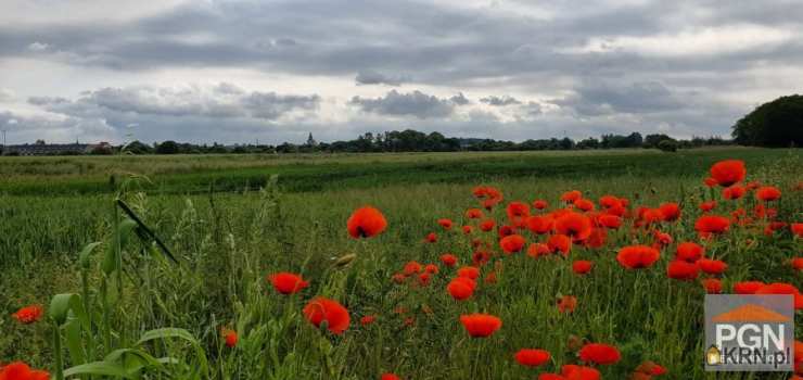 Trzebiatów, ul. , Działki  na sprzedaż, 