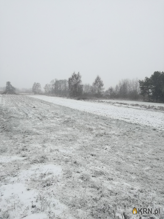 Działki  na sprzedaż, cholerzyn, ul. , 