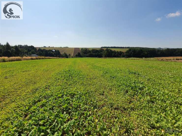 Działki  na sprzedaż, Władysław, ul. , 