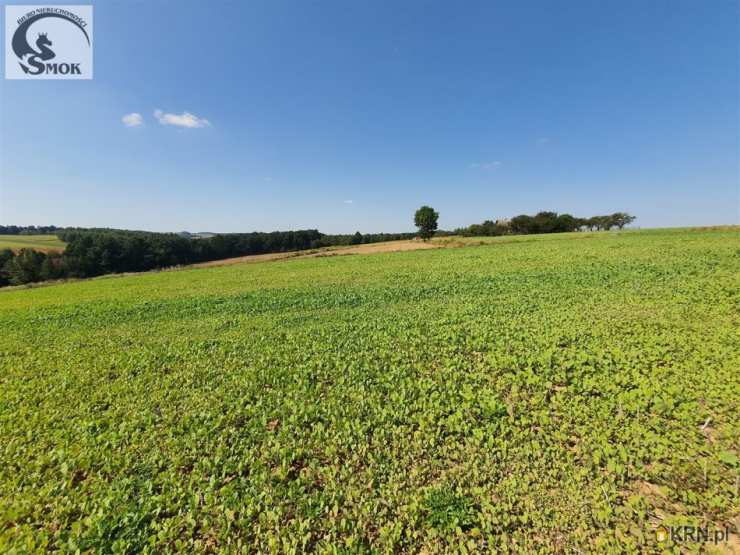 Władysław, ul. , Działki  na sprzedaż, 