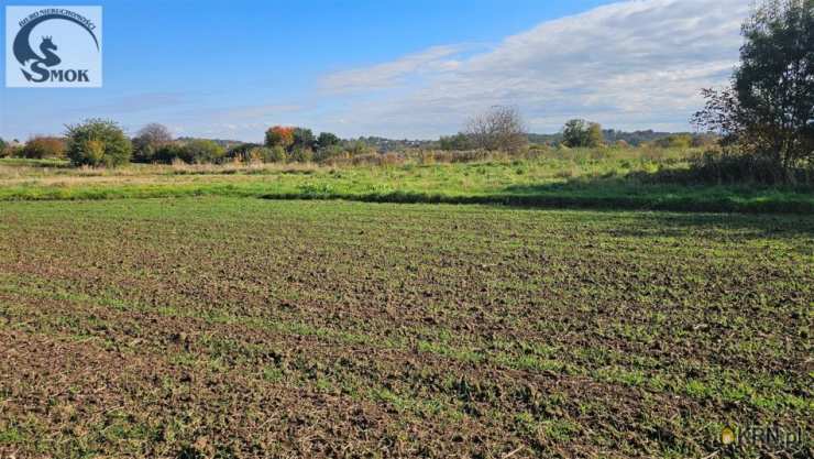 Kraków, Prądnik Biały/Witkowice, ul. , , Działki  na sprzedaż