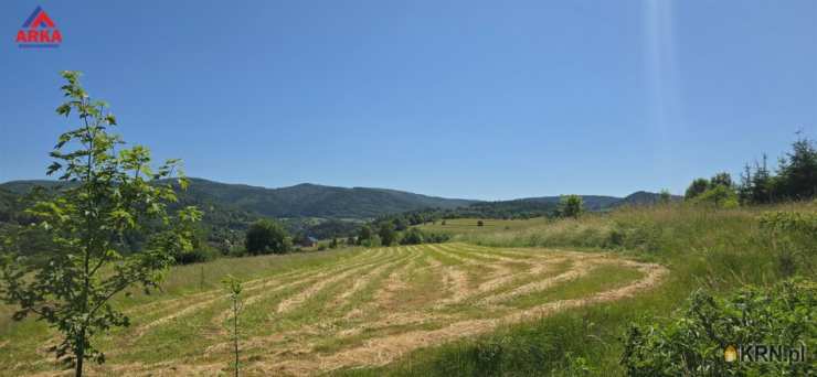 Działki  na sprzedaż, , Jurków, ul. 