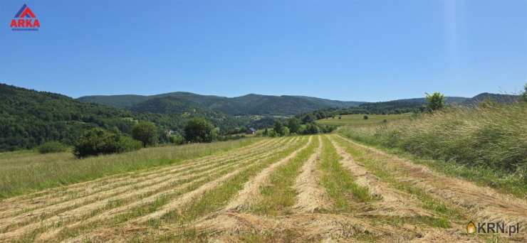Jurków, ul. , Działki  na sprzedaż, 