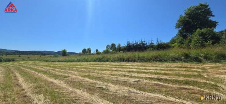 Działki  na sprzedaż, Jurków, ul. , 