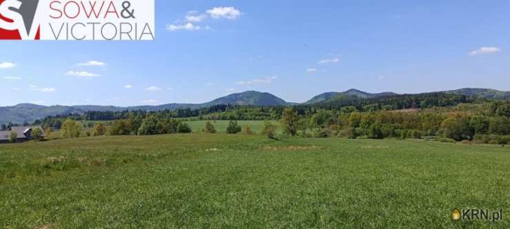 Działki  na sprzedaż, , Olszyniec, ul. 