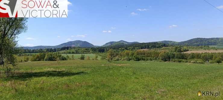 Olszyniec, ul. , , Działki  na sprzedaż