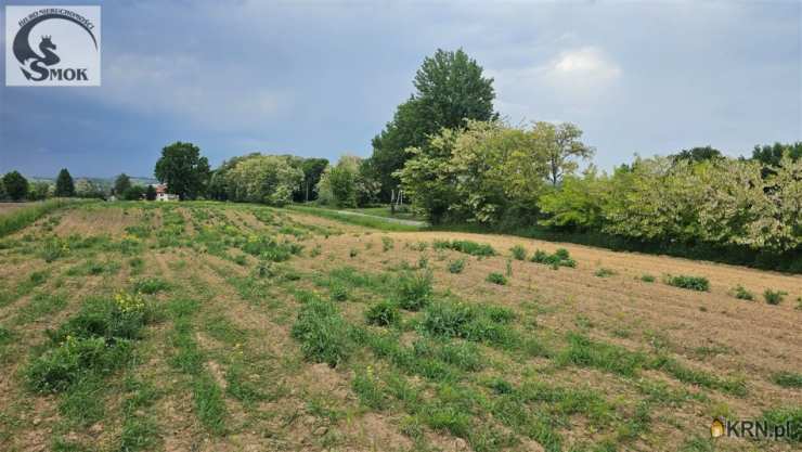 Działki  na sprzedaż, , Wilków, ul. 