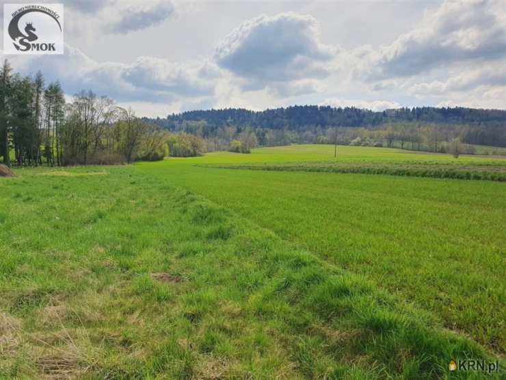 Wola Radziszowska, ul. , Działki  na sprzedaż, 