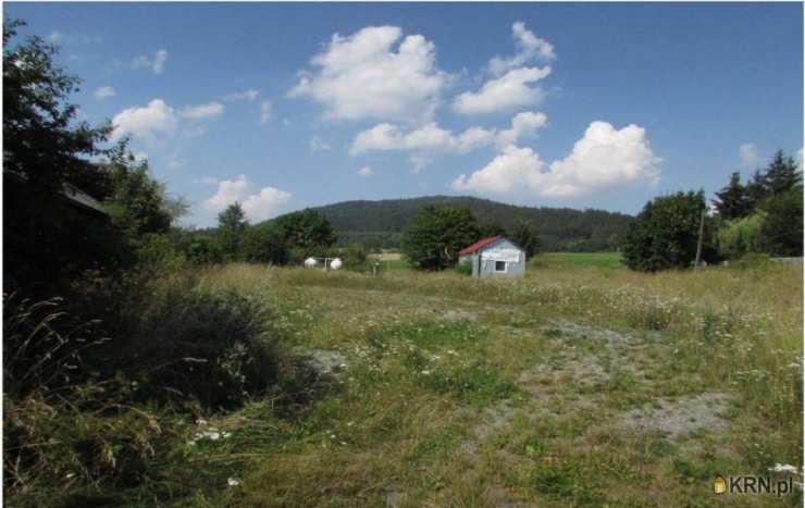 Działki  na sprzedaż, Wolibórz, ul. , 