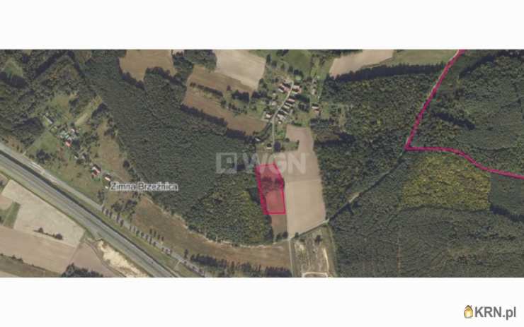 Działki  na sprzedaż, , Zimna Brzeźnica, ul. 