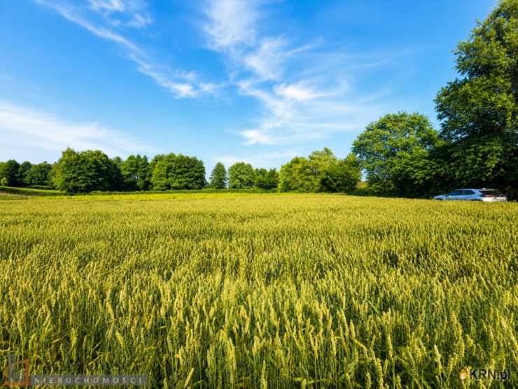 Dziekanowice, ul. , Działki  na sprzedaż, 