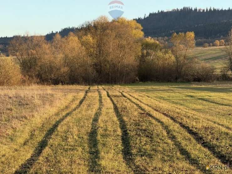 Frydman, ul. , Działki  na sprzedaż, 
