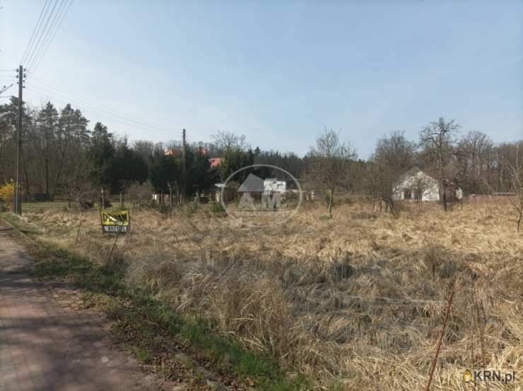 Wołów, ul. Leśna, Działki  na sprzedaż, 