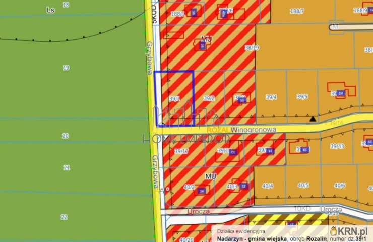 Działki  na sprzedaż, Rozalin, ul. Winogronowa, 
