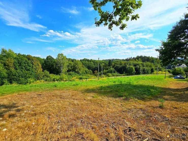 Siepraw, ul. , Działki  na sprzedaż, 