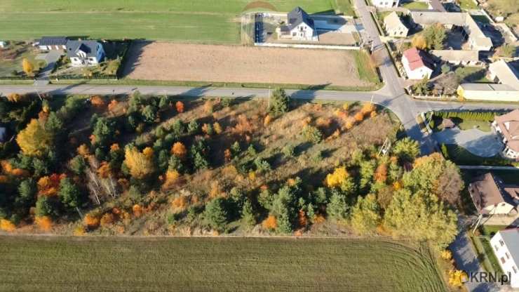 Działki  na sprzedaż, Bór Zapilski, ul. , 