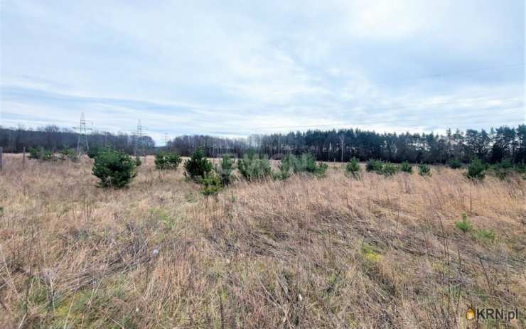 Działki  na sprzedaż, , Miroszowice, ul. 