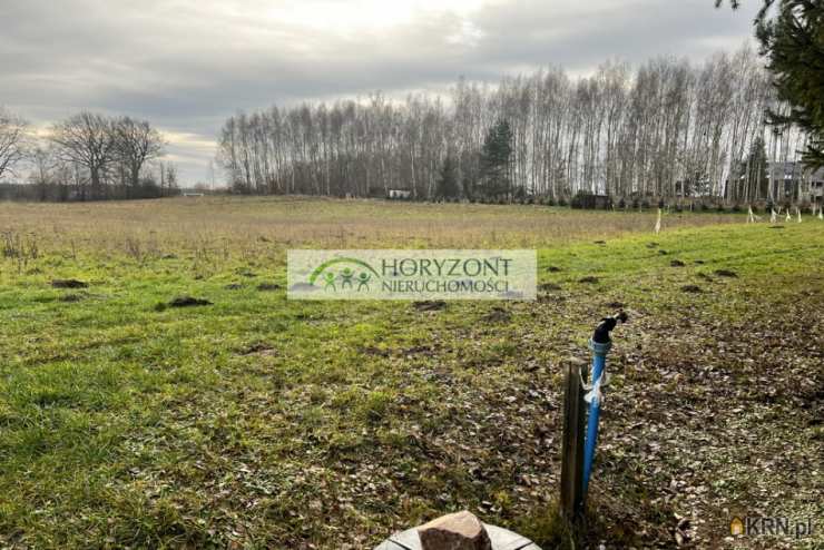 Działki  na sprzedaż, Lisewiec, ul. , 