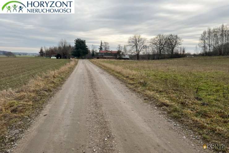 Działki  na sprzedaż, , Lisewiec, ul. 