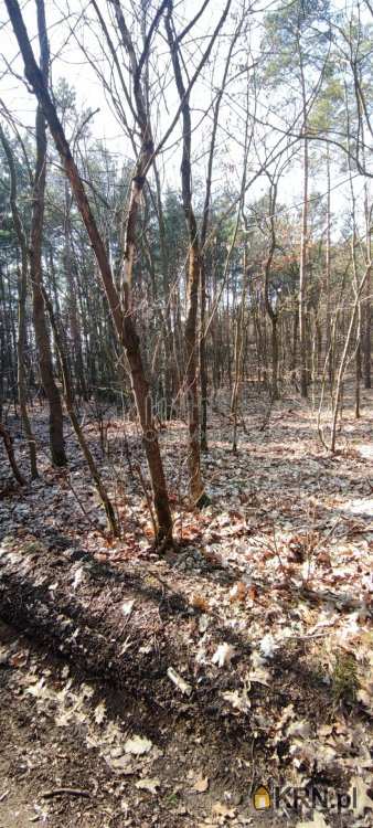 Działki  na sprzedaż, Warszawa, Białołęka/Choszczówka, ul. Chlebowa, 