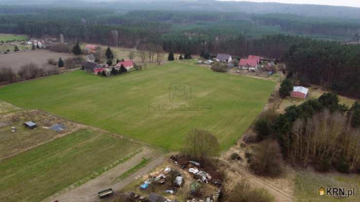Działki  na sprzedaż, Radachów, ul. , 