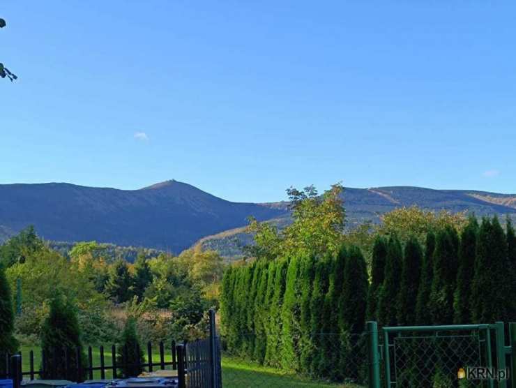 Działki  na sprzedaż, Ściegny, ul. , 