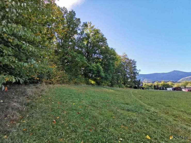 Ściegny, ul. , Działki  na sprzedaż, 