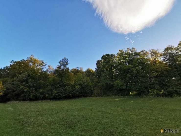 , Ściegny, ul. , Działki  na sprzedaż