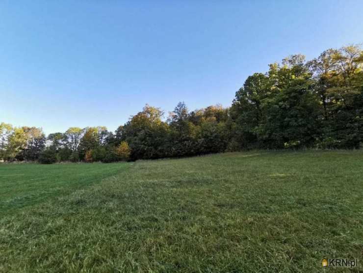 , Działki  na sprzedaż, Ściegny, ul. 