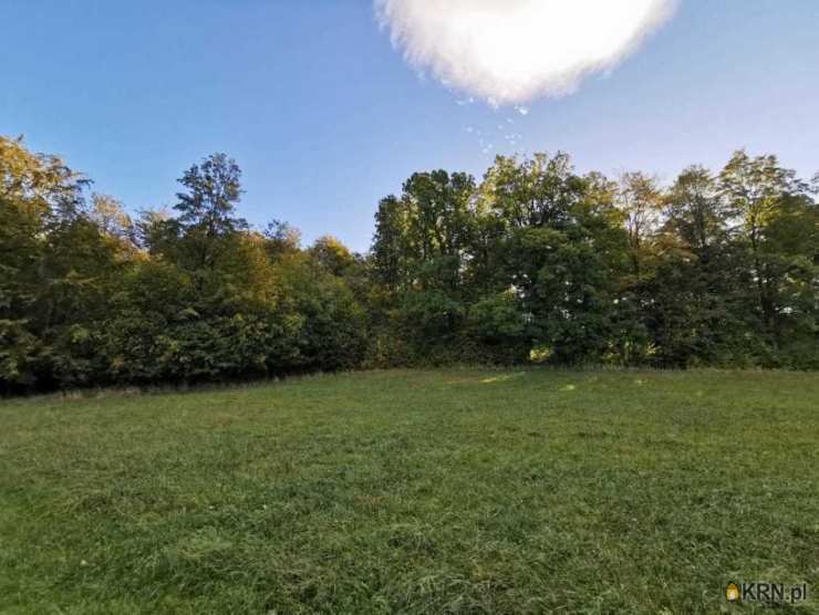 Biuro Nieruchomości SOWA, Działki  na sprzedaż, Ściegny, ul. 