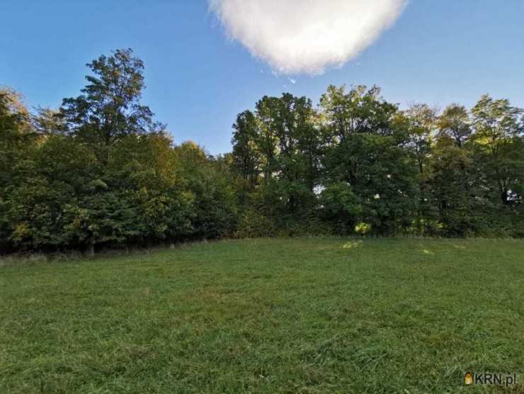 Działki  na sprzedaż, Ściegny, ul. , 